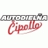 logo firmy Autodielňa - ČIPOLLO